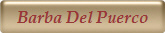 Barba Del Puerco